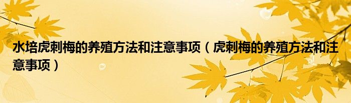 水培虎刺梅的养殖方法和注意事项（虎刺梅的养殖方法和注意事项）