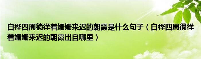 白桦四周徜徉着姗姗来迟的朝霞是什么句子（白桦四周徜徉着姗姗来迟的朝霞出自哪里）