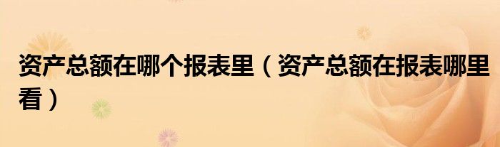 资产总额在哪个报表里（资产总额在报表哪里看）