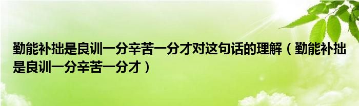 勤能补拙是良训一分辛苦一分才对这句话的理解（勤能补拙是良训一分辛苦一分才）