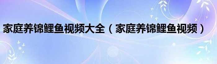 家庭养锦鲤鱼视频大全（家庭养锦鲤鱼视频）