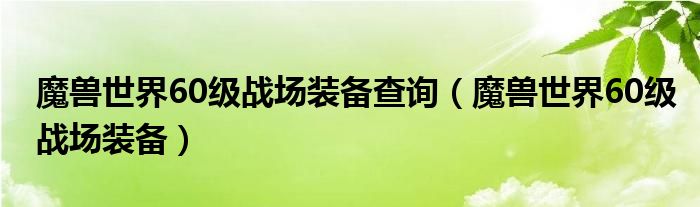 魔兽世界60级战场装备查询（魔兽世界60级战场装备）