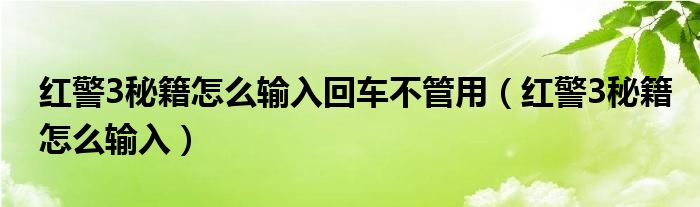 红警3秘籍怎么输入回车不管用（红警3秘籍怎么输入）