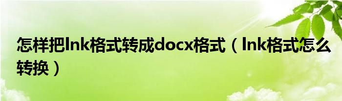 怎样把lnk格式转成docx格式（lnk格式怎么转换）