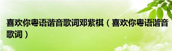 喜欢你粤语谐音歌词邓紫棋（喜欢你粤语谐音歌词）