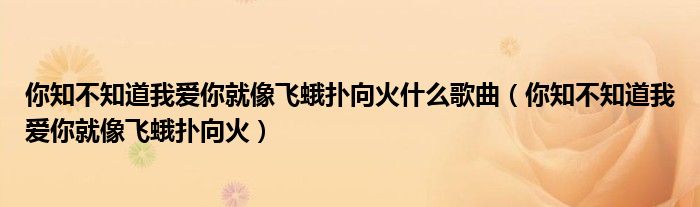 你知不知道我爱你就像飞蛾扑向火什么歌曲（你知不知道我爱你就像飞蛾扑向火）