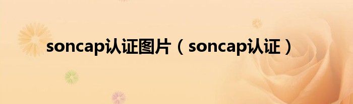 soncap认证图片（soncap认证）