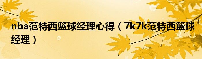 nba范特西篮球经理心得（7k7k范特西篮球经理）