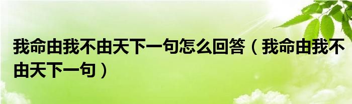 我命由我不由天下一句怎么回答（我命由我不由天下一句）