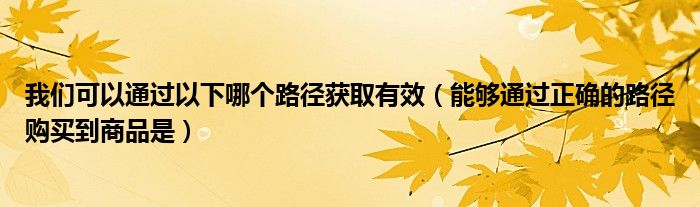 我们可以通过以下哪个路径获取有效（能够通过正确的路径购买到商品是）