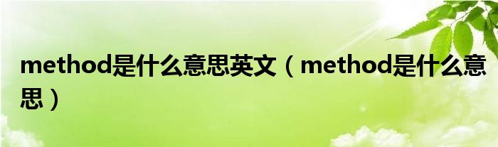 method是什么意思英文（method是什么意思）