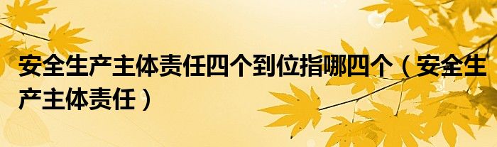 安全生产主体责任四个到位指哪四个（安全生产主体责任）