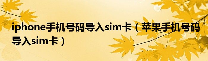 iphone手机号码导入sim卡（苹果手机号码导入sim卡）