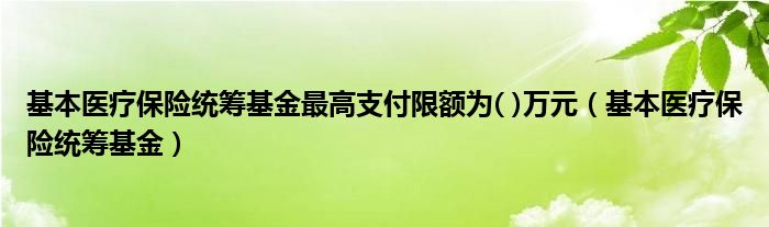 基本医疗保险统筹基金最高支付限额为( )万元（基本医疗保险统筹基金）