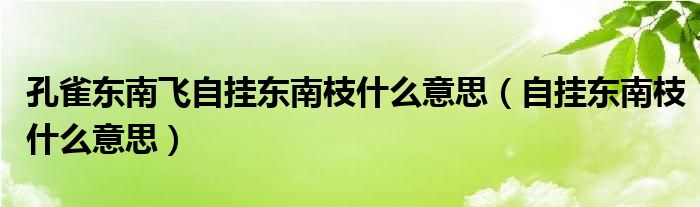 孔雀东南飞自挂东南枝什么意思（自挂东南枝什么意思）