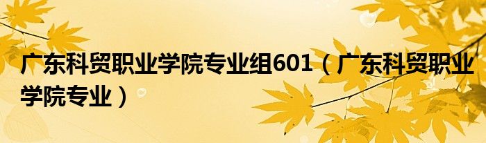 广东科贸职业学院专业组601（广东科贸职业学院专业）