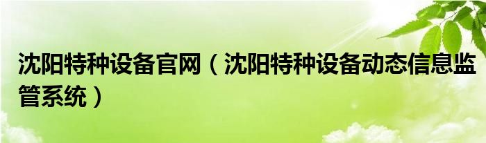 沈阳特种设备官网（沈阳特种设备动态信息监管系统）