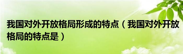 我国对外开放格局形成的特点（我国对外开放格局的特点是）