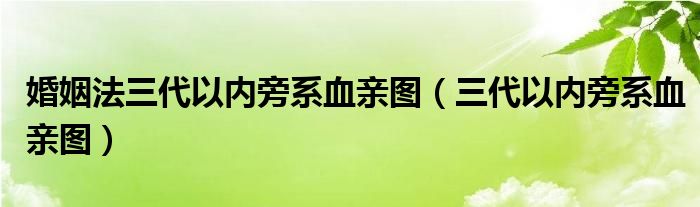 婚姻法三代以内旁系血亲图（三代以内旁系血亲图）