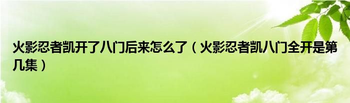 火影忍者凯开了八门后来怎么了（火影忍者凯八门全开是第几集）