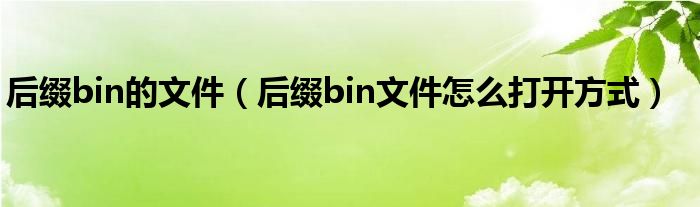 后缀bin的文件（后缀bin文件怎么打开方式）