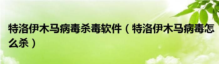 特洛伊木马病毒杀毒软件（特洛伊木马病毒怎么杀）