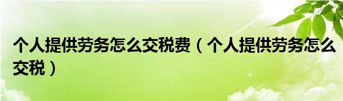 个人提供劳务怎么交税费（个人提供劳务怎么交税）