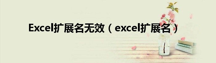 Excel扩展名无效（excel扩展名）