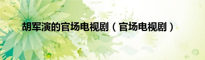 胡军演的官场电视剧（官场电视剧）