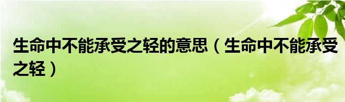 生命中不能承受之轻的意思（生命中不能承受之轻）