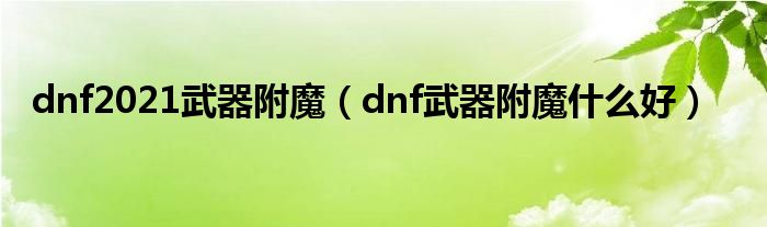 dnf2021武器附魔（dnf武器附魔什么好）