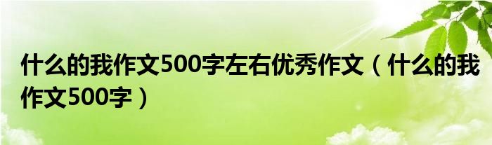 什么的我作文500字左右优秀作文（什么的我作文500字）