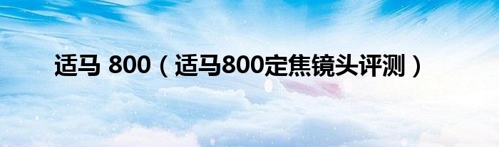 适马 800（适马800定焦镜头评测）