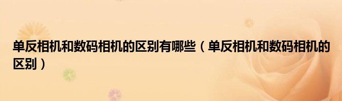 单反相机和数码相机的区别有哪些（单反相机和数码相机的区别）