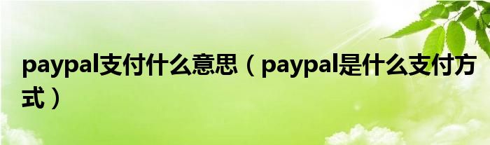 paypal支付什么意思（paypal是什么支付方式）