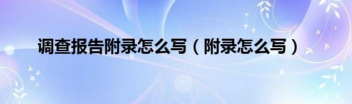 调查报告附录怎么写（附录怎么写）