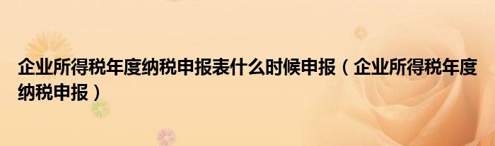 企业所得税年度纳税申报表什么时候申报（企业所得税年度纳税申报）