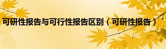 可研性报告与可行性报告区别（可研性报告）