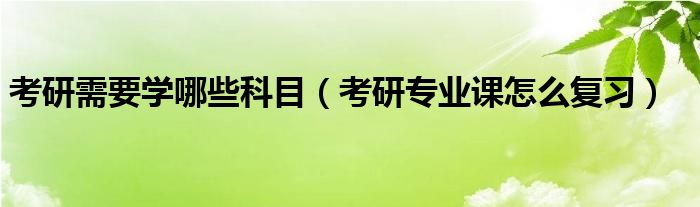 考研需要学哪些科目（考研专业课怎么复习）