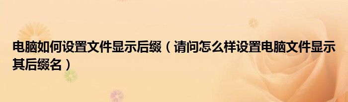 电脑如何设置文件显示后缀（请问怎么样设置电脑文件显示其后缀名）