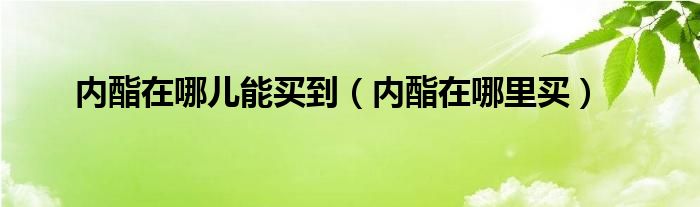 内酯在哪儿能买到（内酯在哪里买）