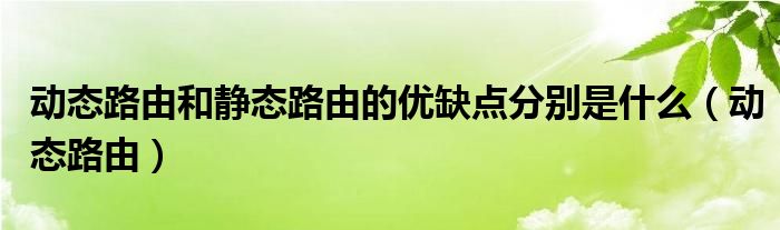 动态路由和静态路由的优缺点分别是什么（动态路由）