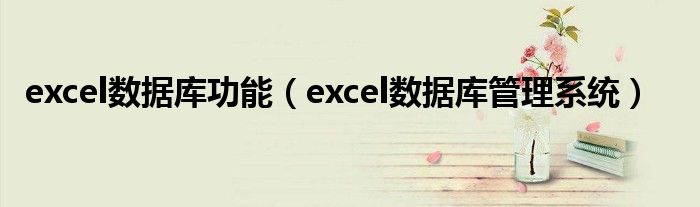 excel数据库功能（excel数据库管理系统）