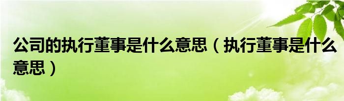 公司的执行董事是什么意思（执行董事是什么意思）