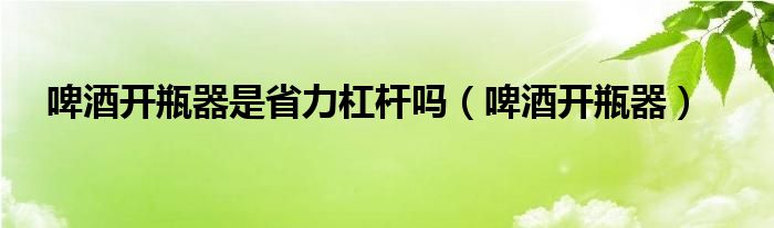 啤酒开瓶器是省力杠杆吗（啤酒开瓶器）