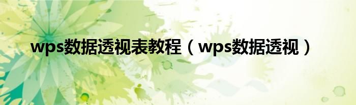 wps数据透视表教程（wps数据透视）