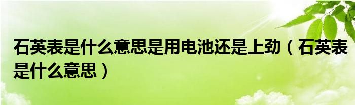 石英表是什么意思是用电池还是上劲（石英表是什么意思）