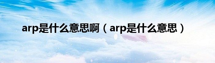 arp是什么意思啊（arp是什么意思）