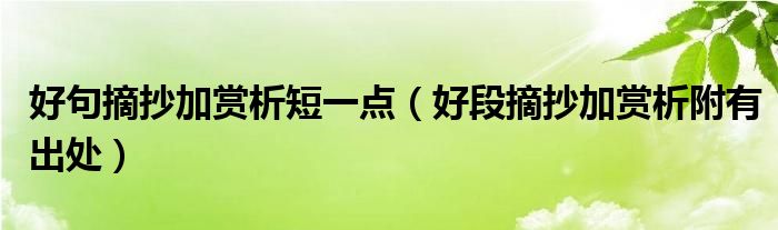 好句摘抄加赏析短一点（好段摘抄加赏析附有出处）