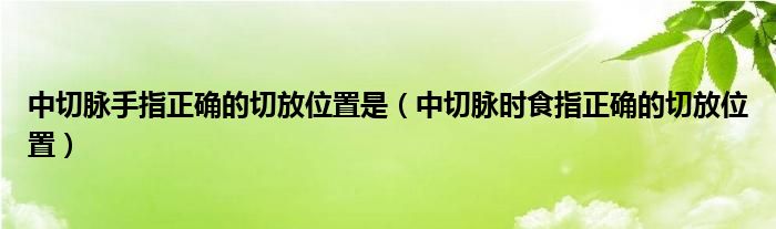 中切脉手指正确的切放位置是（中切脉时食指正确的切放位置）